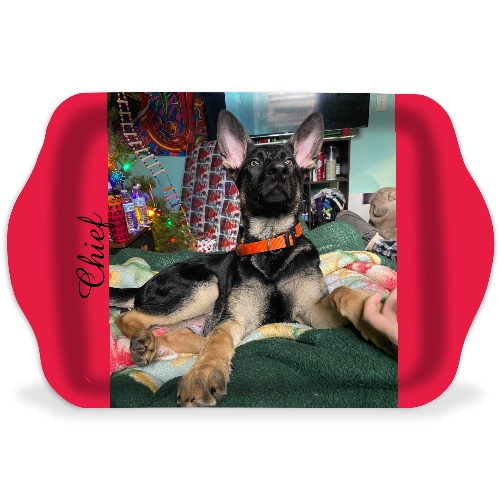 Design 577973 Rolling Trays