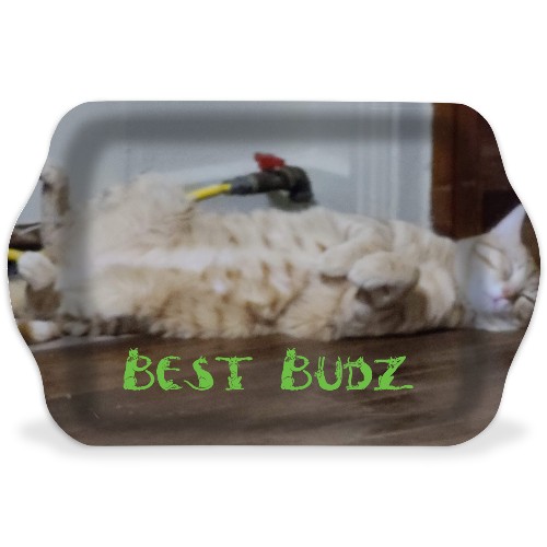 Design 578056 Rolling Trays