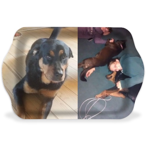 Design 579421 Rolling Trays Image