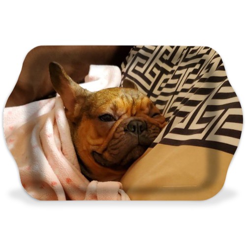 Design 580809 Rolling Trays