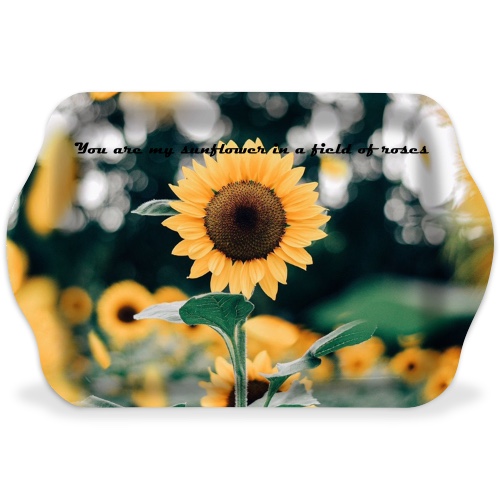 Design 581742 Rolling Trays