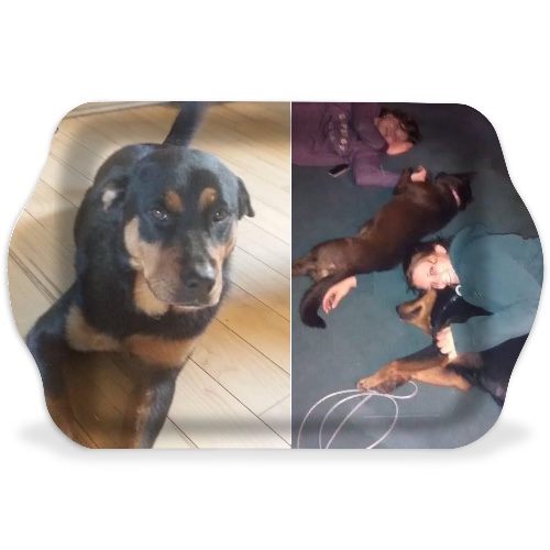 Design 582355 Rolling Trays