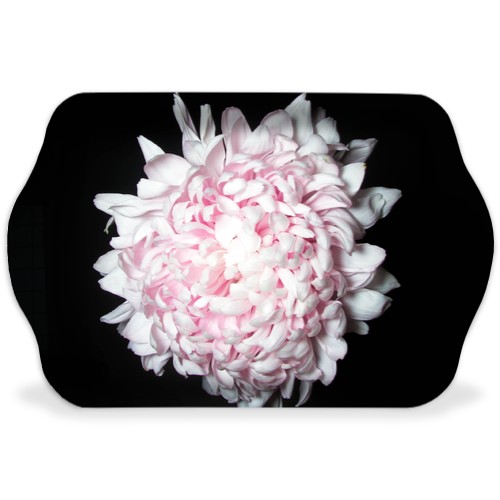 Design 582811 Rolling Trays Image