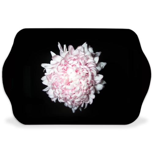 Design 583082 Rolling Trays Image