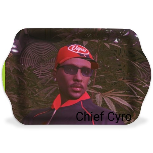 Design 583265 Rolling Trays