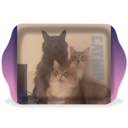 Design 585531 Rolling Trays