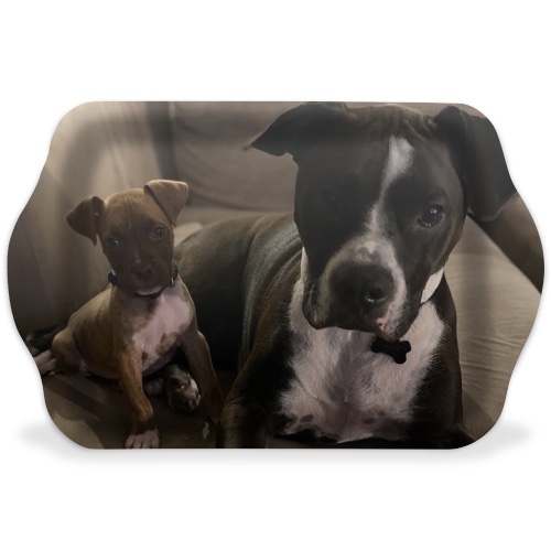 Design 586408 Rolling Trays Image