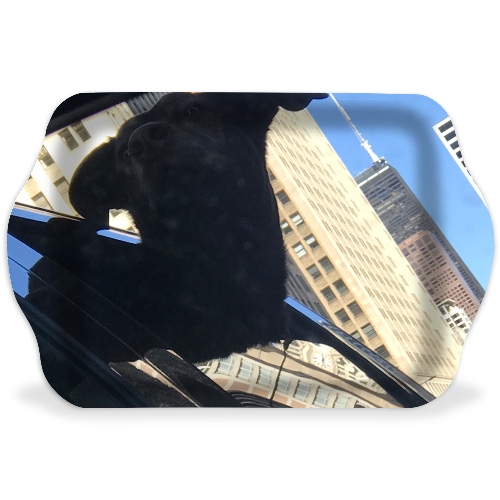 Design 587183 Rolling Trays