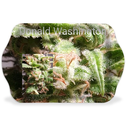 Design 587596 Rolling Trays