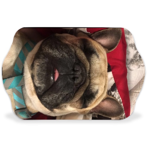 Design 591636 Rolling Trays