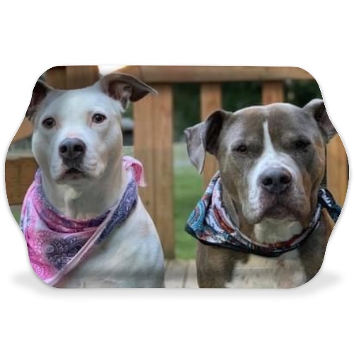 Design 594811 Rolling Trays Image