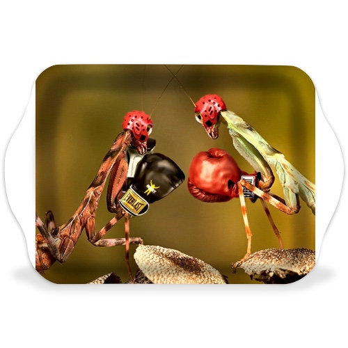 Design 598794 Rolling Trays