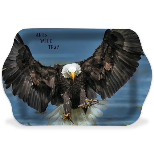 Design 612801 Rolling Trays