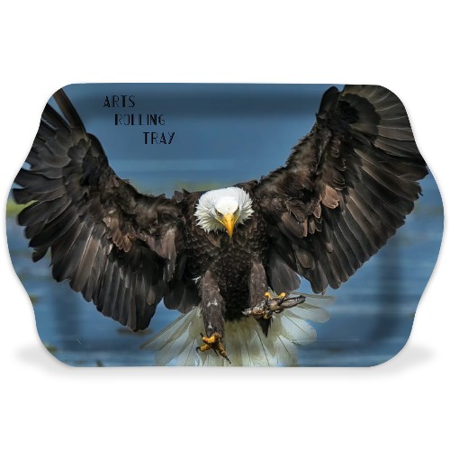 Design 612803 Rolling Trays