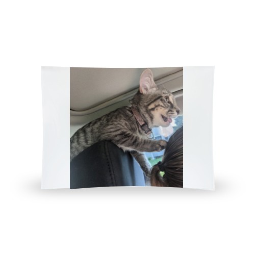 Design 612925 Rolling Trays