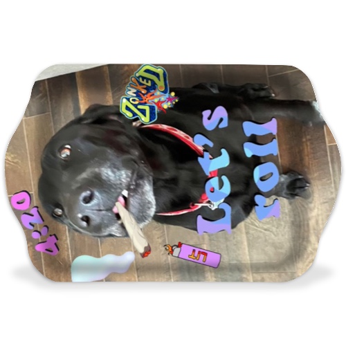 Design 613025 Rolling Trays