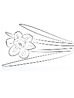 Design 615344  Image