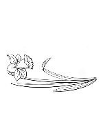 Design 615440  Image