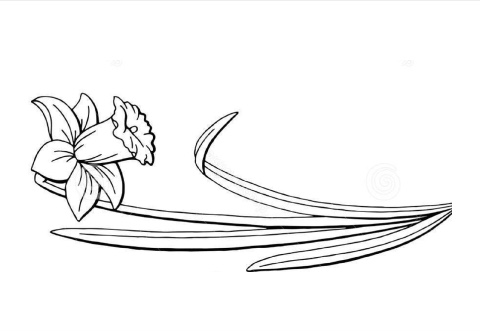 Design 615440