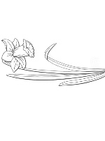 Design 615441  Image