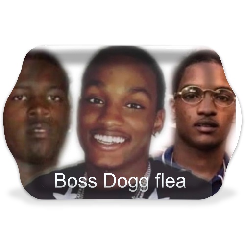 Design 617246 Rolling Trays Image