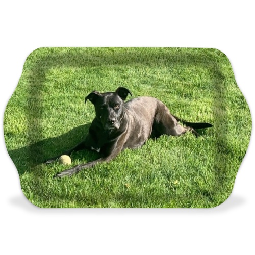 Design 617605 Rolling Trays