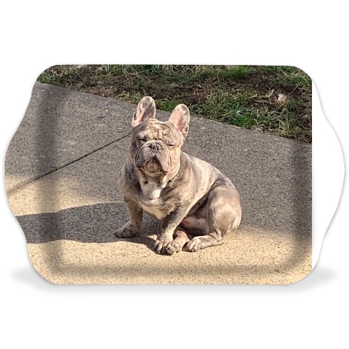 Design 621083 Rolling Trays