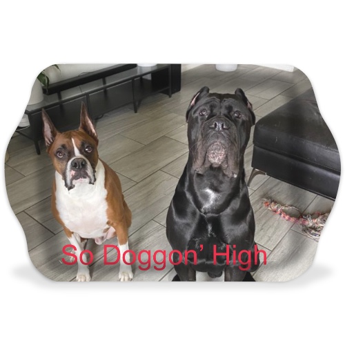 Design 621190 Rolling Trays