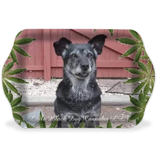 Design 622073 Rolling Trays
