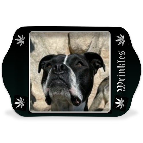 Design 622372 Rolling Trays
