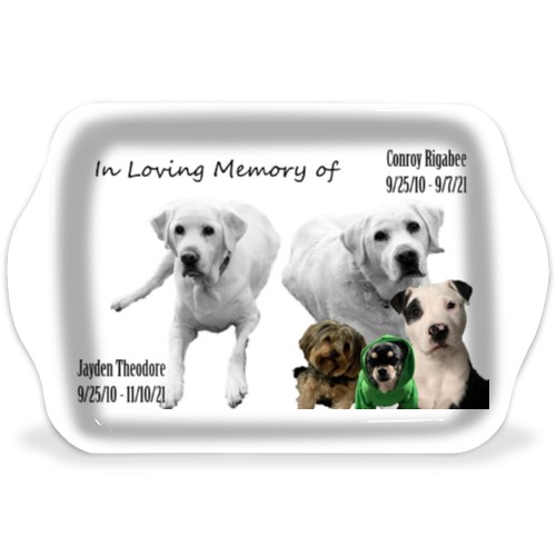 Design 629504 Rolling Trays