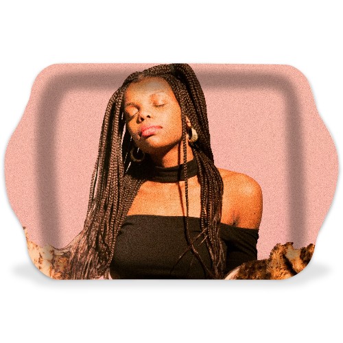 Design 629855 Rolling Trays