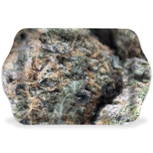 Design 630394 Rolling Trays