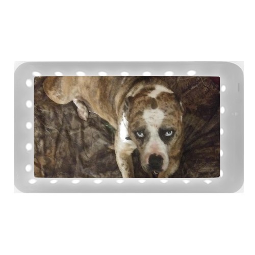 Design 630398 Rolling Trays