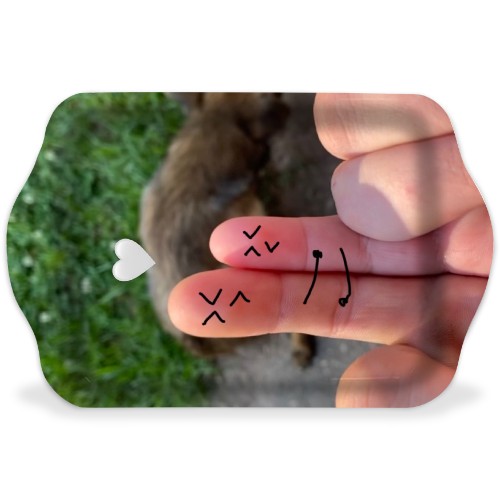 Design 635323 Rolling Trays