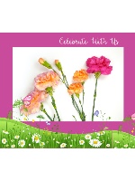 Design 635531  Image