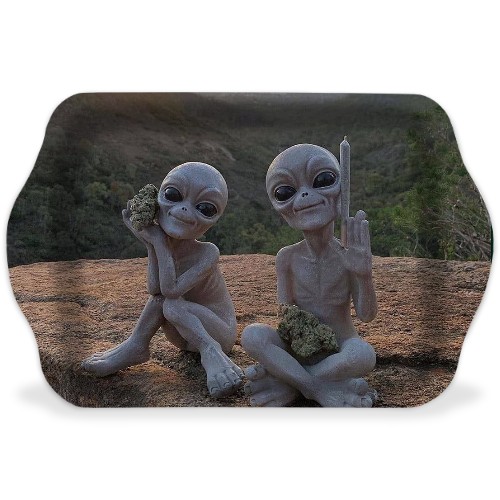 Design 635617 Rolling Trays