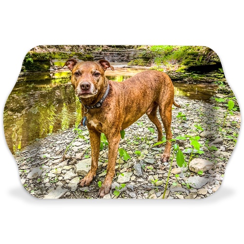 Design 635842 Rolling Trays