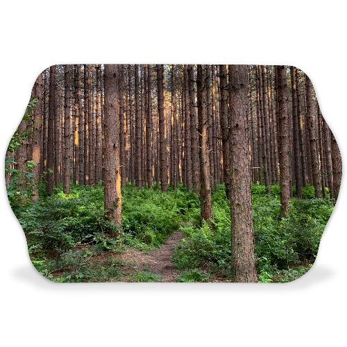 Design 639309 Rolling Trays