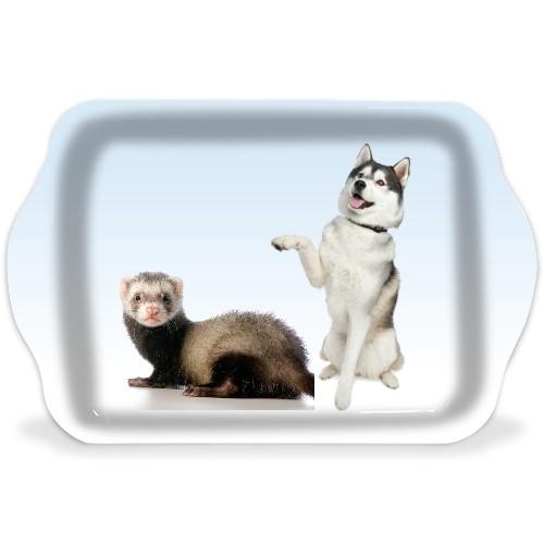 Design 642426 Rolling Trays