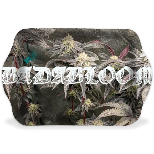 Design 645047 Rolling Trays Image