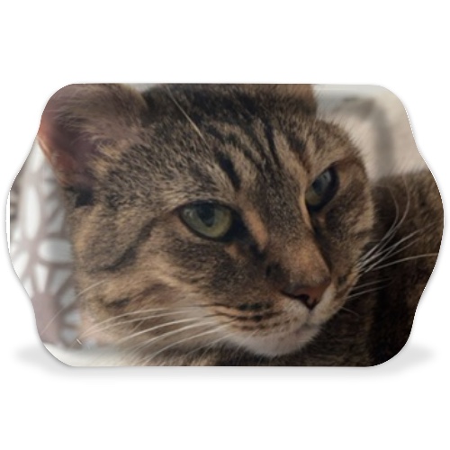 Design 646136 Rolling Trays