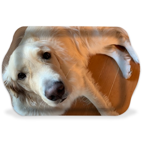 Design 646496 Rolling Trays