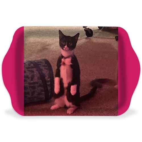 Design 646586 Rolling Trays