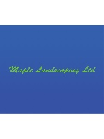 Design 647732  Image