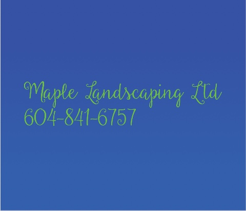 Design 647748