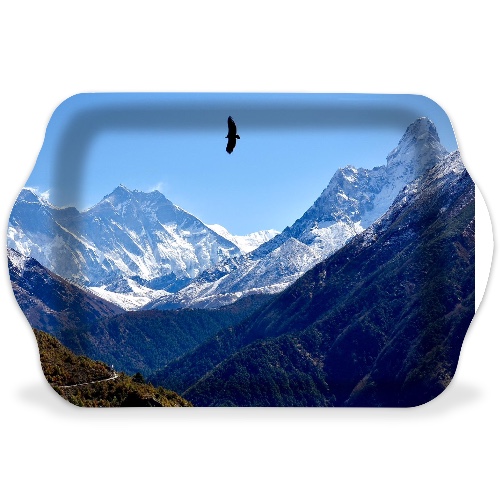 Design 649531 Rolling Trays Image