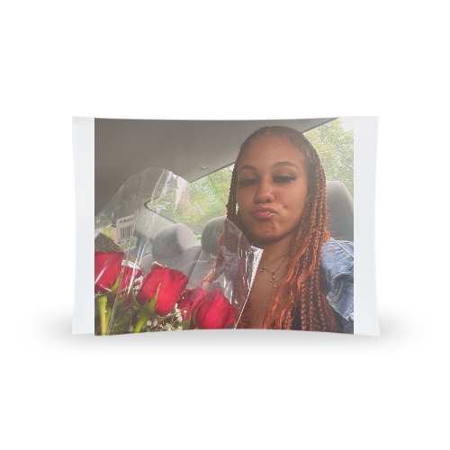 Design 651667 Rolling Trays