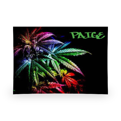 Design 651685 Rolling Trays