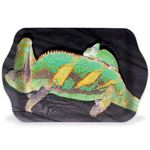 Design 654220 Rolling Trays